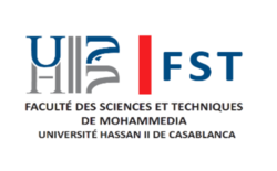 FSTM